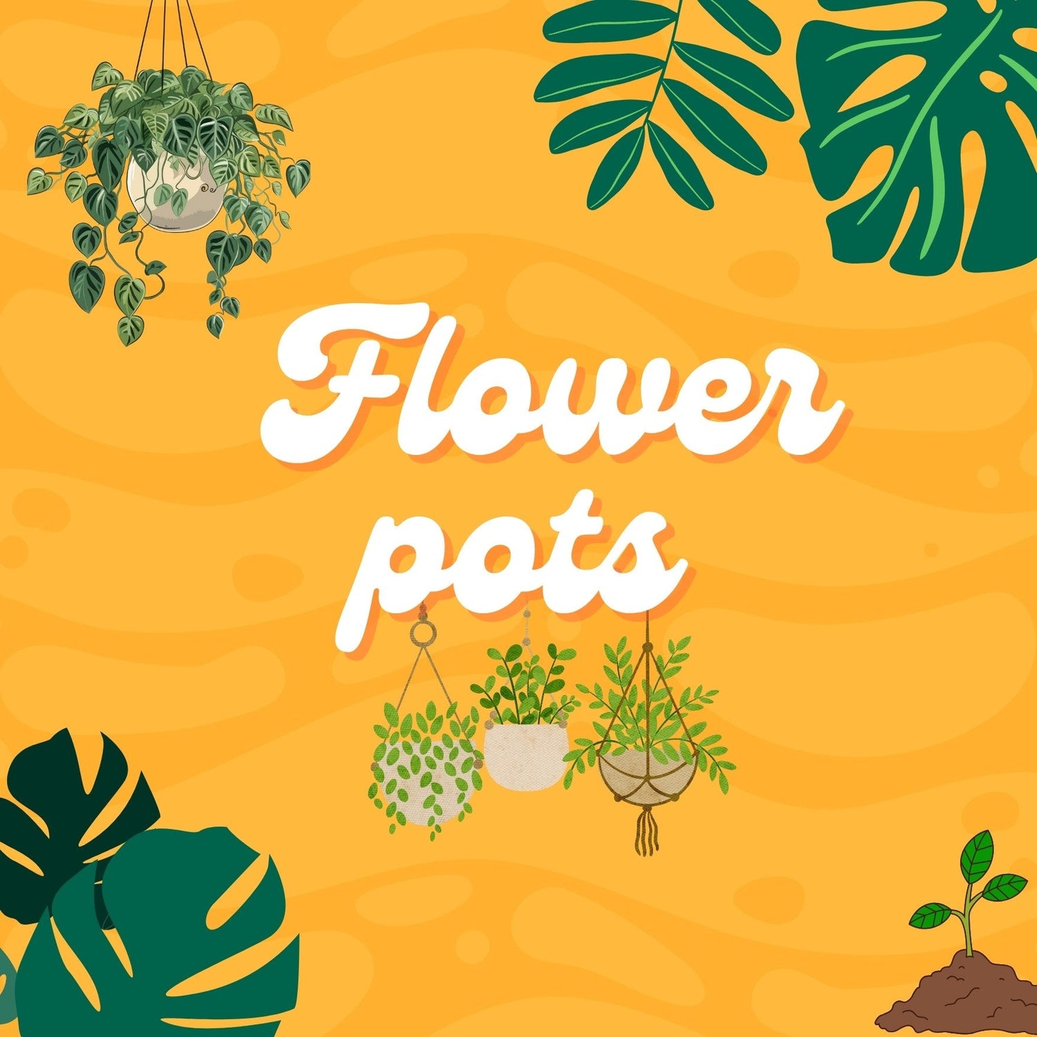Flower Pots