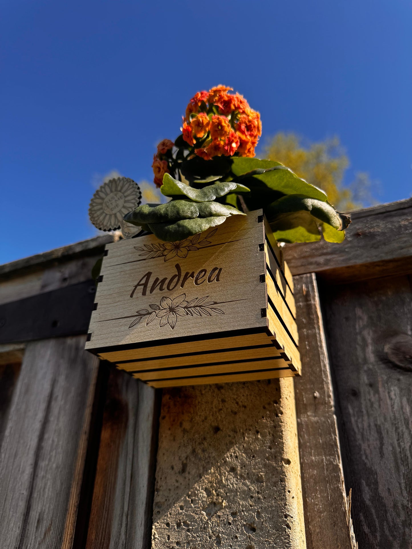 Personalized wooden flower pot with a succulent planted directly inside, using the waterproof insert. The pot sits on a clean white surface with soft lighting, showcasing its rustic style. The engraved name on the front adds a thoughtful, personal touch, while the healthy plant demonstrates the pot’s functionality. This scene is ideal for promoting the product’s use as a meaningful, sustainable gift for loved ones or friends.