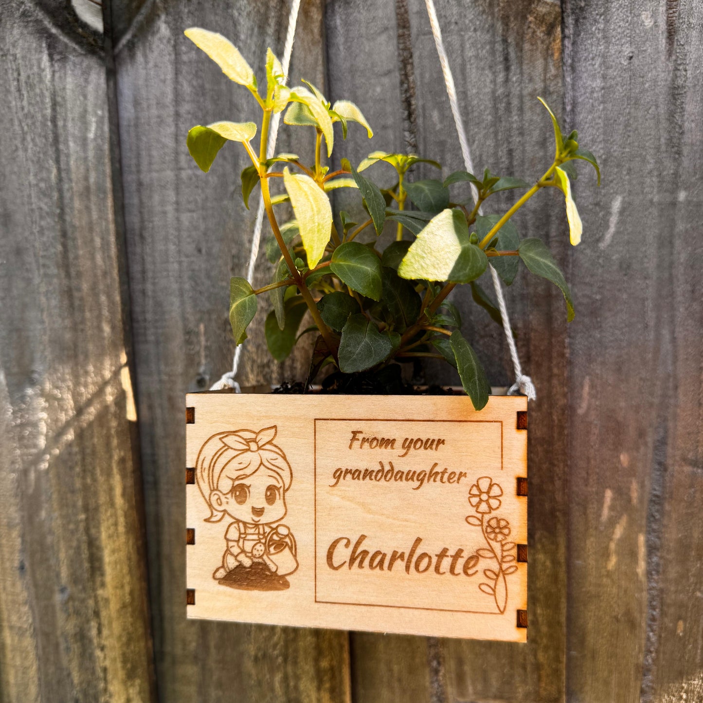 A personalized wooden flower pot displayed on a rustic wooden table, featuring a name engraved on the front. The pot contains a small succulent, emphasizing the product’s charm and functionality. Its compact size and smooth finish highlight the handcrafted quality. The warm tones of the wood contrast beautifully with the greenery, making it ideal for cozy interior spaces like home offices, bookshelves, or kitchen windowsills.