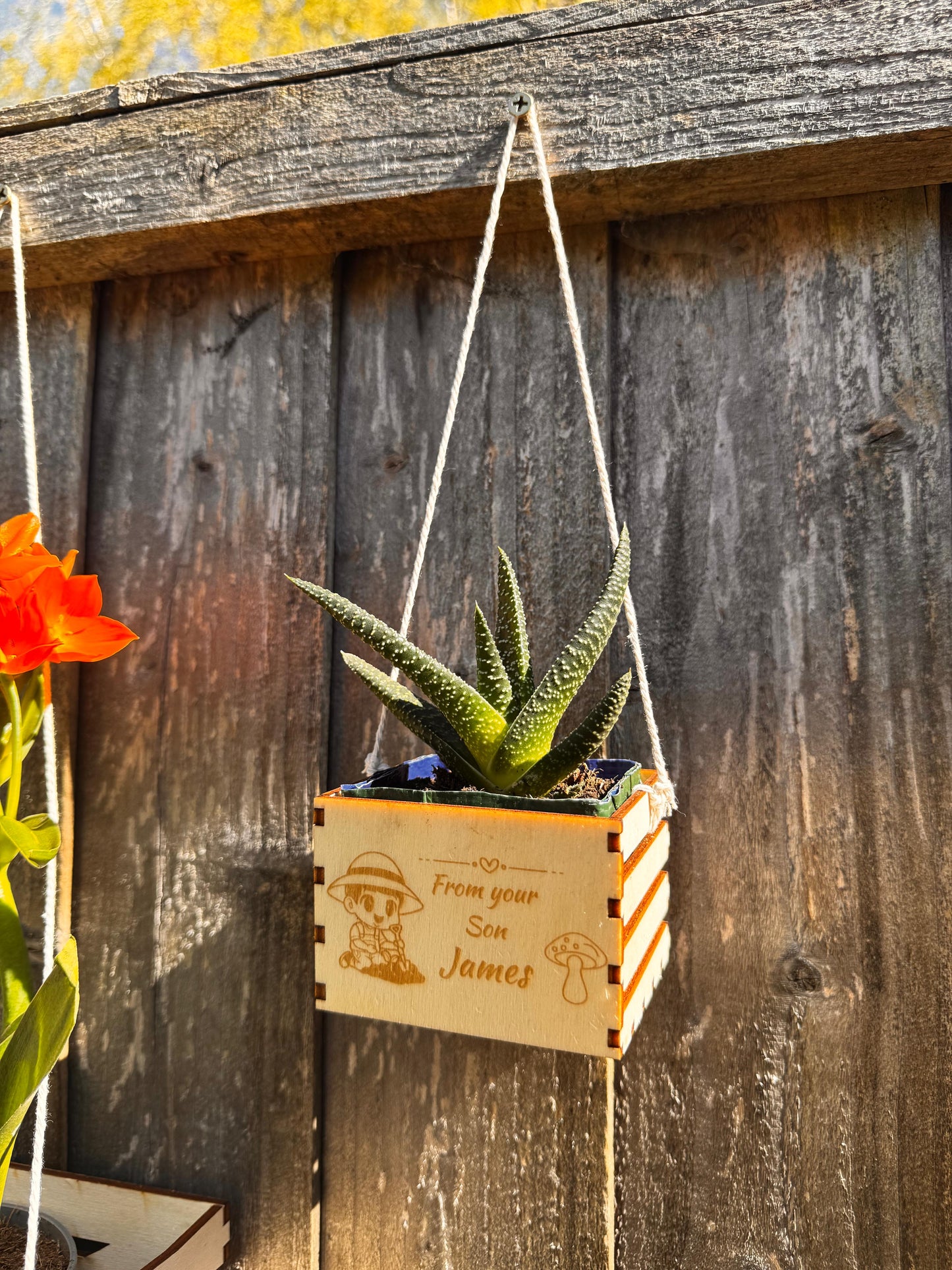 Wooden flower pot displayed next to a removable waterproof insert. The insert is slightly lifted from the pot, showing how it fits neatly inside. This setup highlights the pot’s practical features for direct planting without mess. Ideal for people who want low-maintenance care for their plants, the waterproof insert adds functionality to the charming, handcrafted wooden design, perfect for both gifting and home décor.
