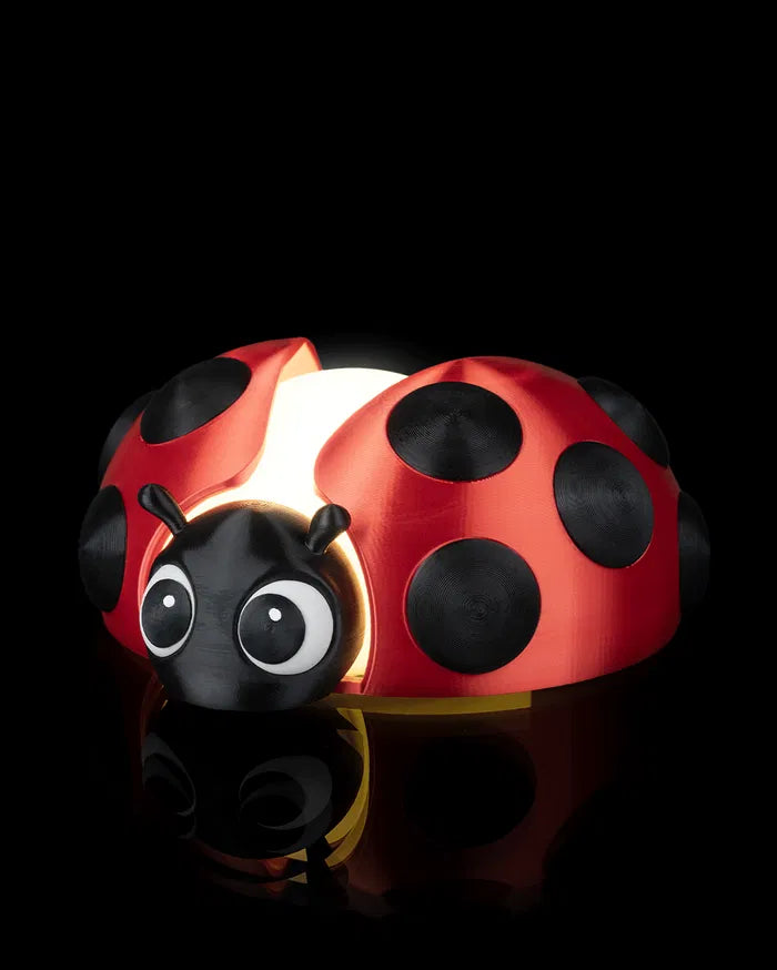 Lamp shaped like a ladybug on a black background