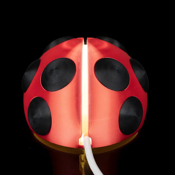 Red and black ladybug-shaped lamp on a black background