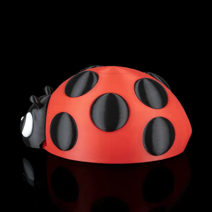 Red and black ladybug-shaped object on a black background