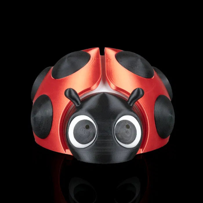 Red and black ladybug-shaped object on a black background