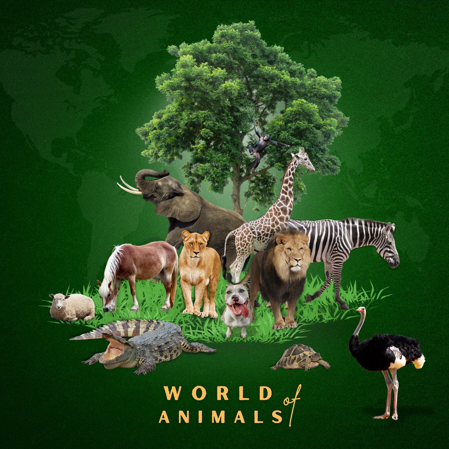 World of Animals