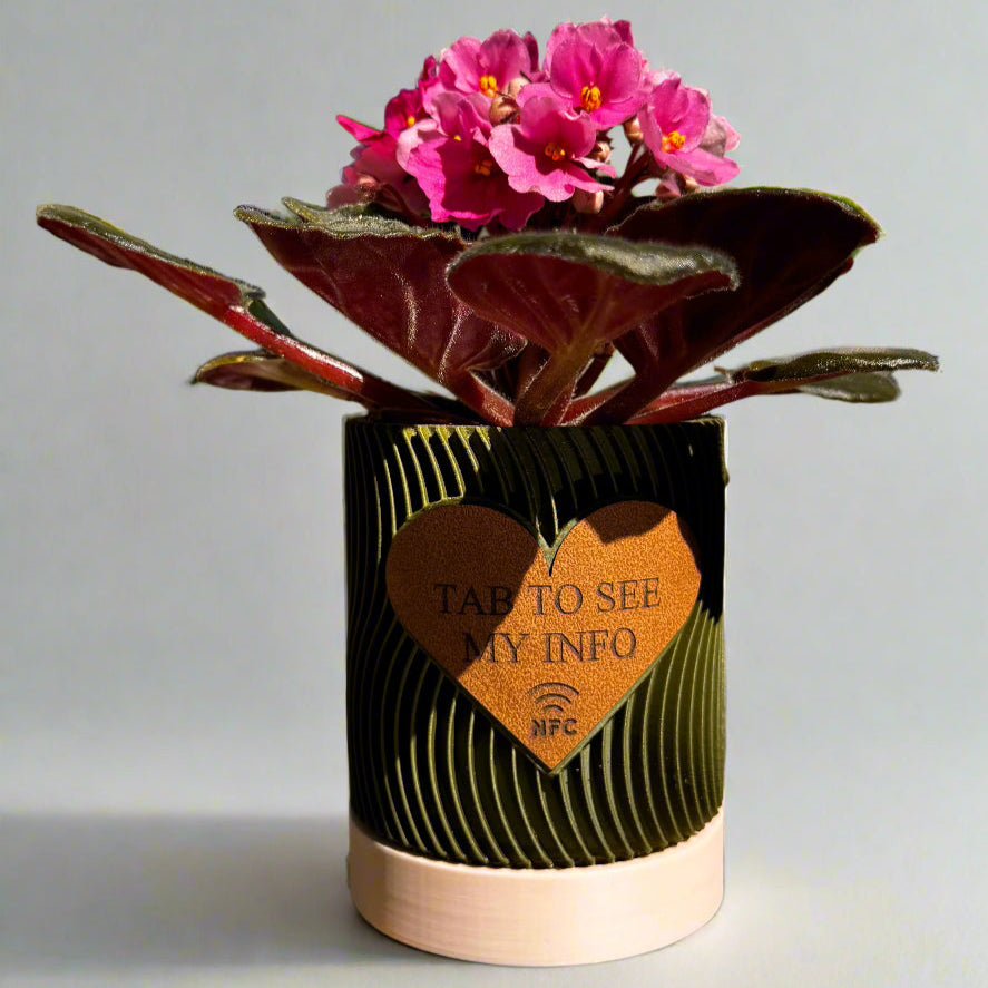 ultiple engraved pots displayed on a shelf with varied messages
An arrangement of several personalized flowerpots on a wooden shelf, each engraved with different heartfelt messages such as “Thank You,” “Grow Together,” and “Love Blooms Here.” The variety showcases the customization options and makes the display visually appealing, ideal for group gifting or themed home decor.